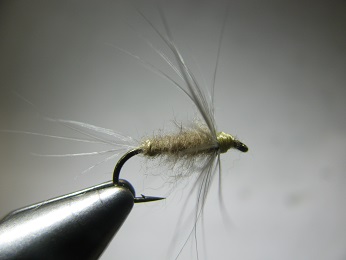 Carl Sanders recipe Blue Dun Flymph 002.JPG