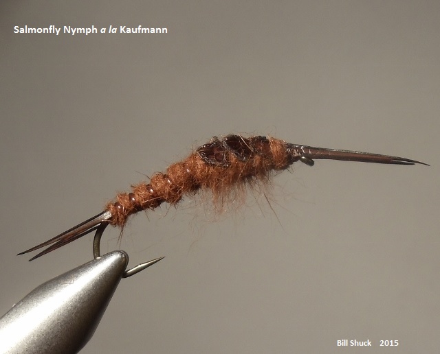 Salmonfly Nymph.jpg