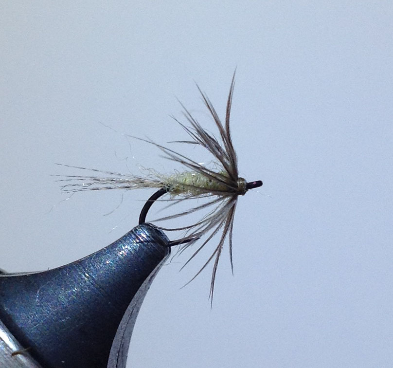 Baetis Soft Hackle.jpg