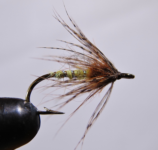 sedge 014 (640x605).jpg