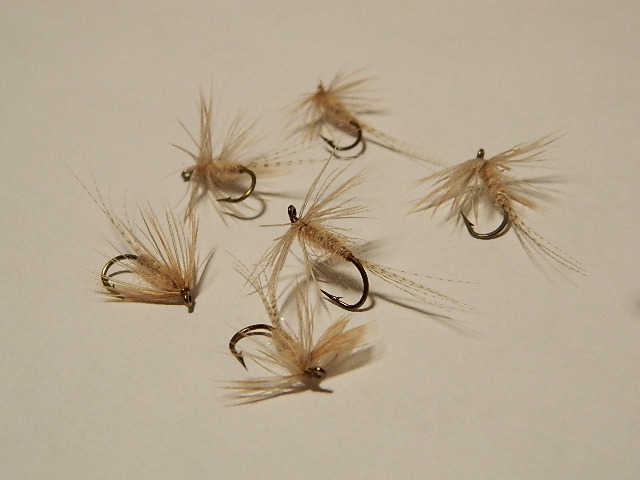 A Six Pack of Tan Flymphs 139.JPG