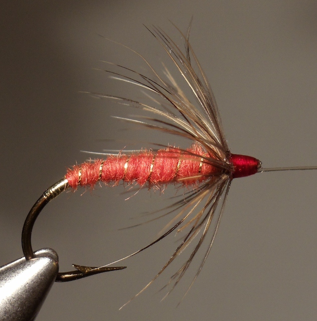 #8 Grouse Hackle per M. O. Marbury.jpg