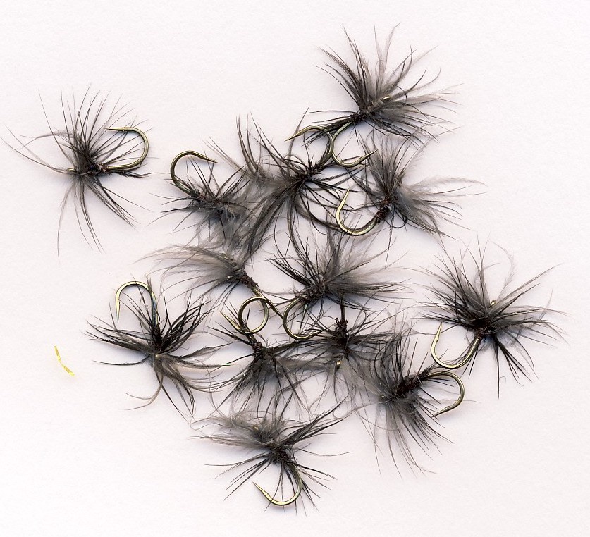 Swarm of Stewart's Black Spiders.jpg