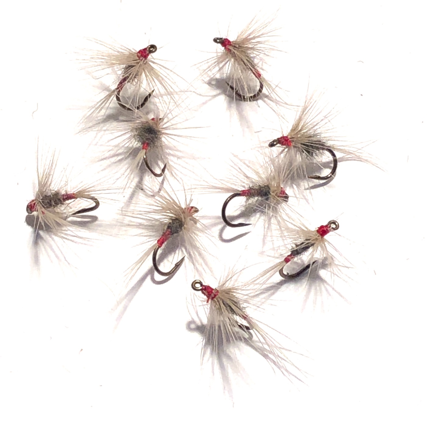 Iron Blue Soft Hackles.JPG