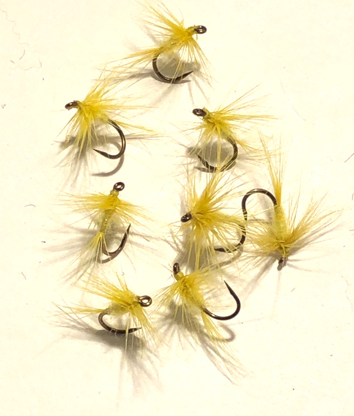 Yellow Spider Variation.JPG