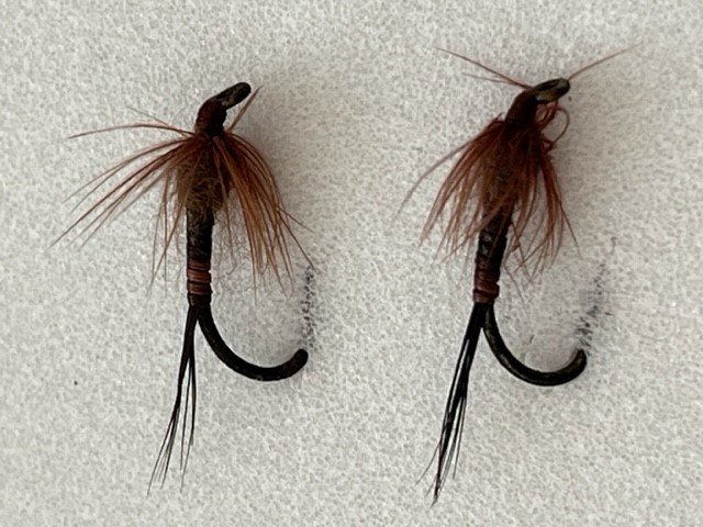 Brown Mayflies.jpg