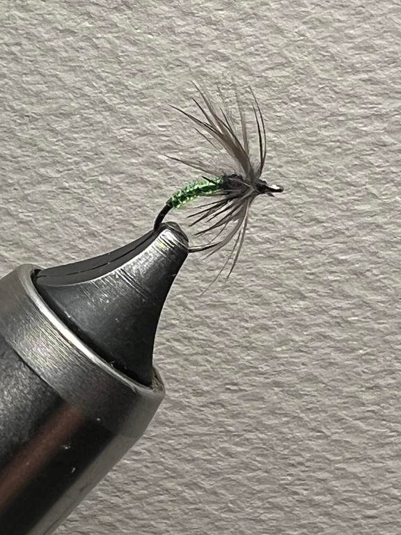 Tubular Caddis-576x768.jpg