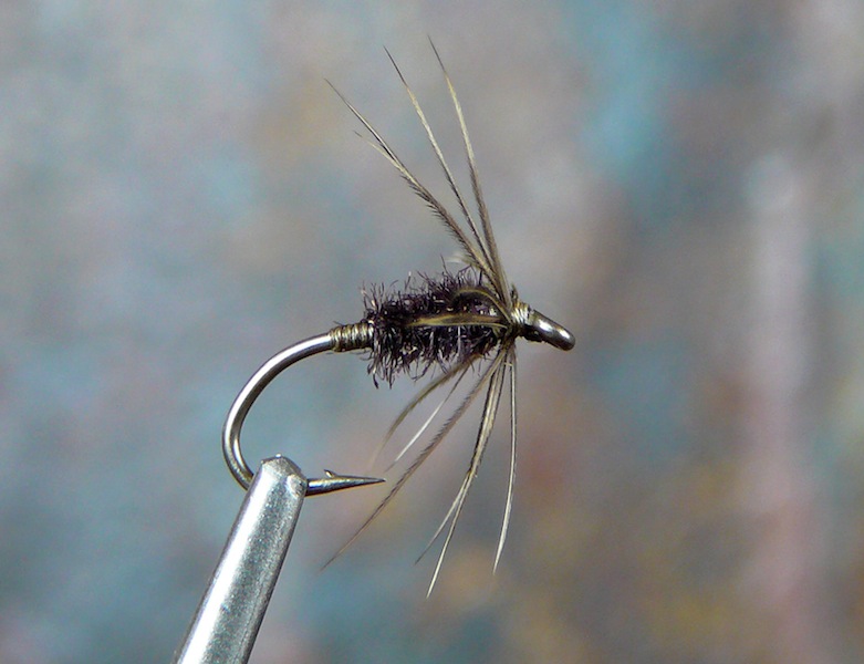 Dark Olive Peacock.jpg