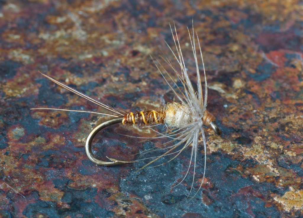 PMD Emerger.jpg