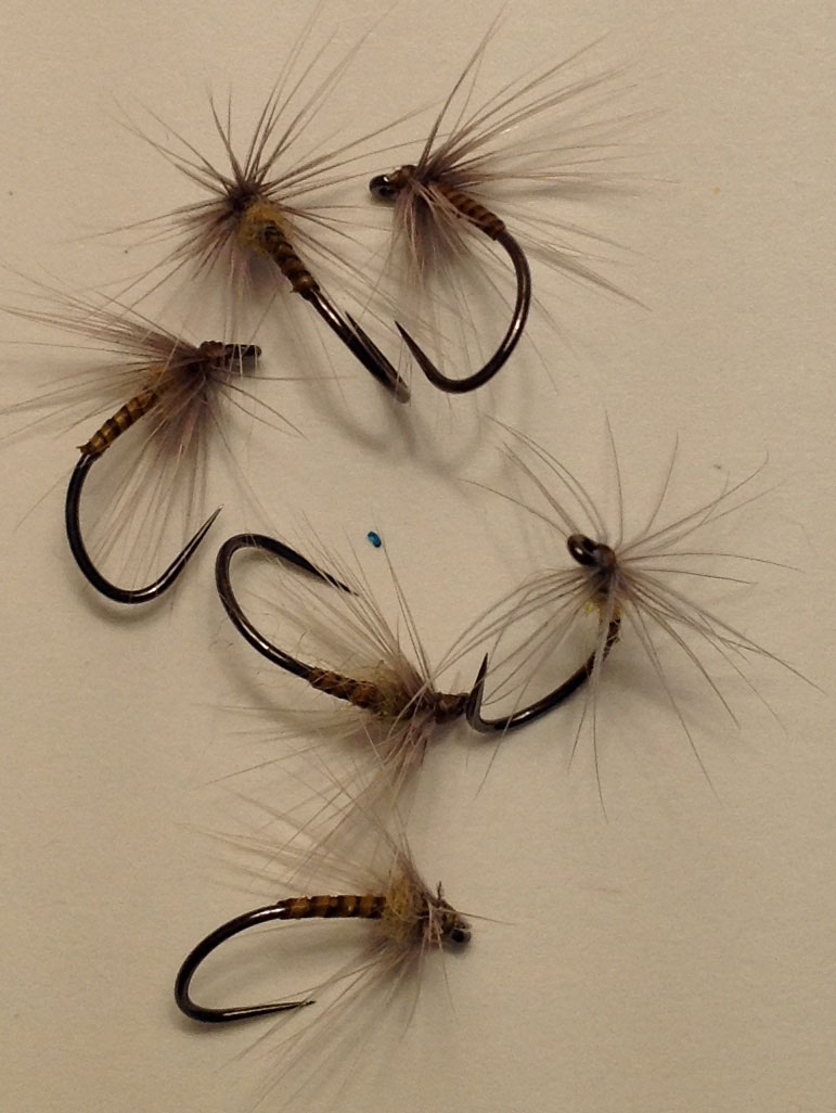 Quill Body Soft Hackles.JPG