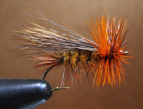 uc hairwings 002 (500x383).jpg