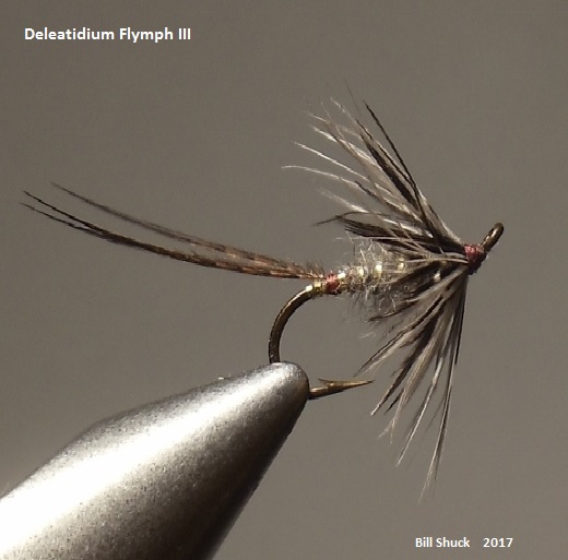Deleatidium Flymph III.jpg