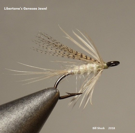 Libertone's Genesee Jewel.JPG