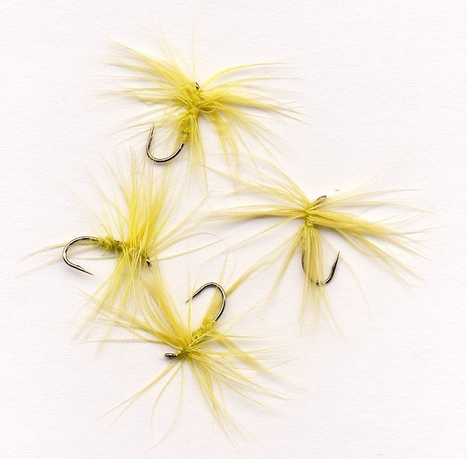 W C Stewart - Style Yellow Spiders.jpg