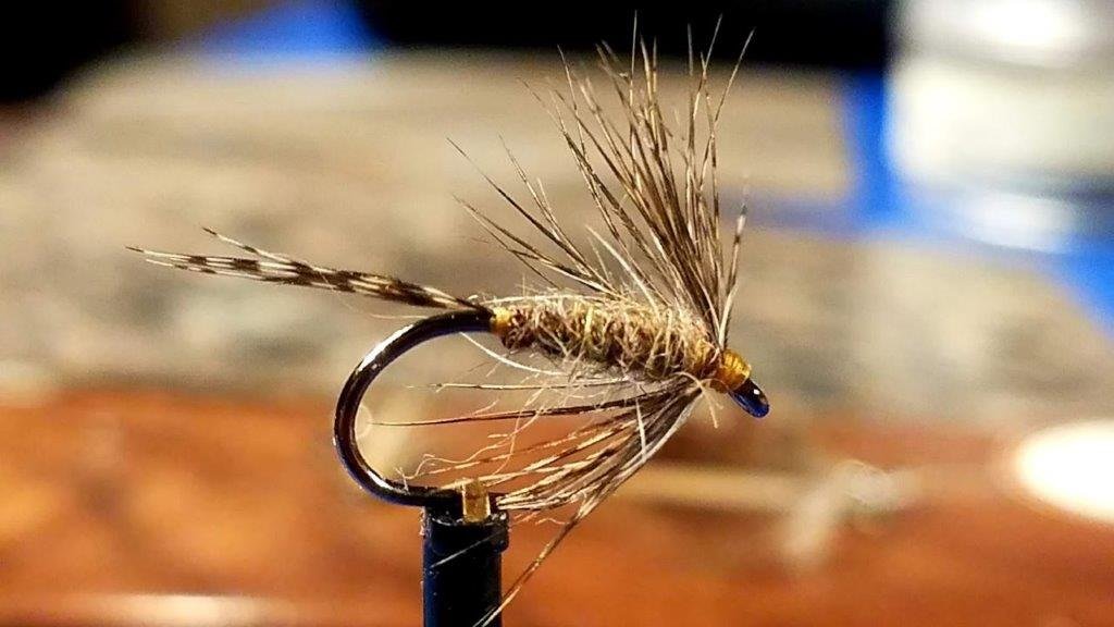 20181023_220840.jpg