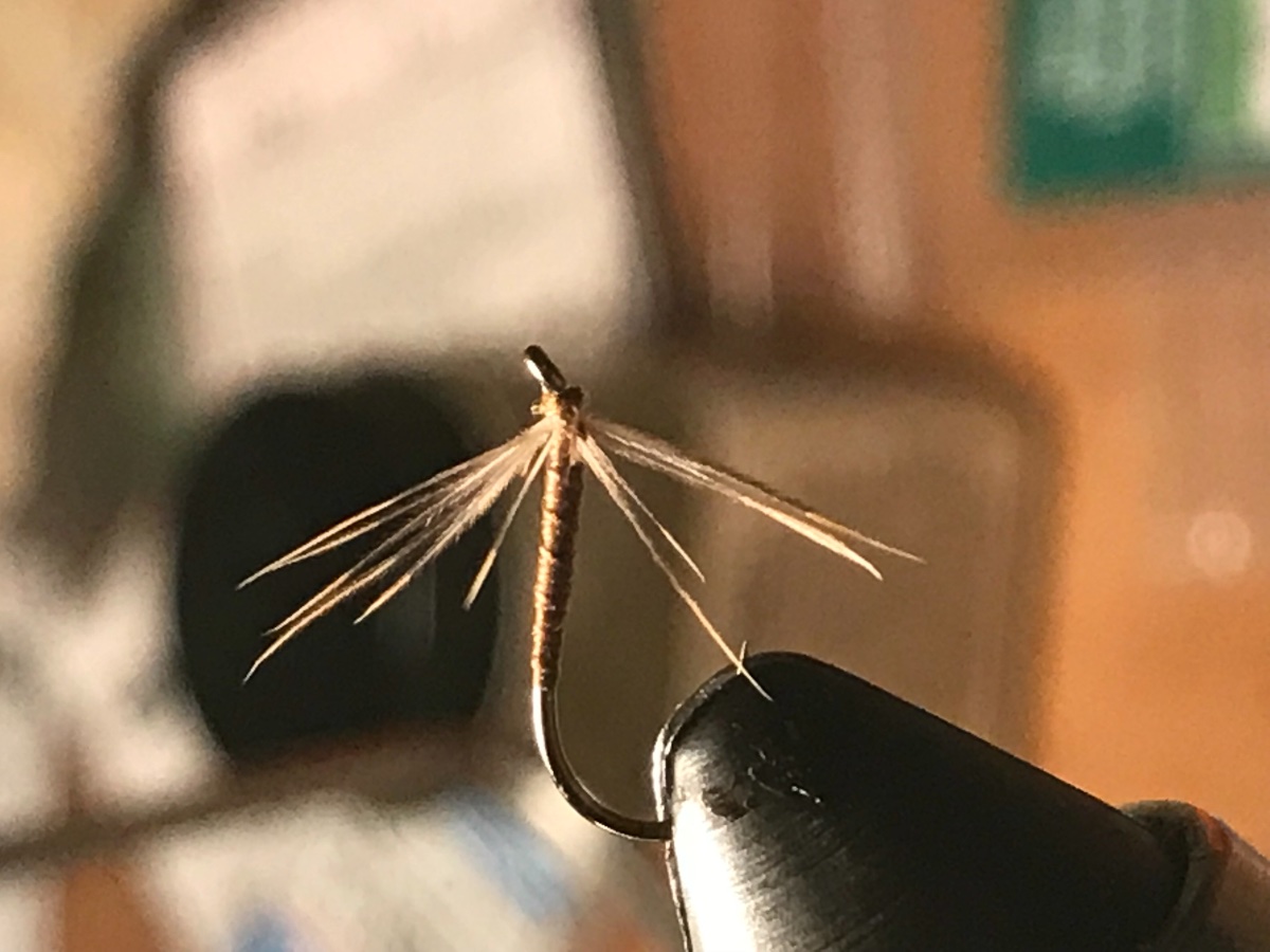 C2DDD816-1602-4471-B60D-717188974FAA.jpeg