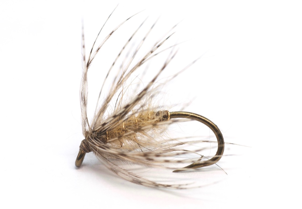 Caddis Partridge and Hare's Earresized.jpg