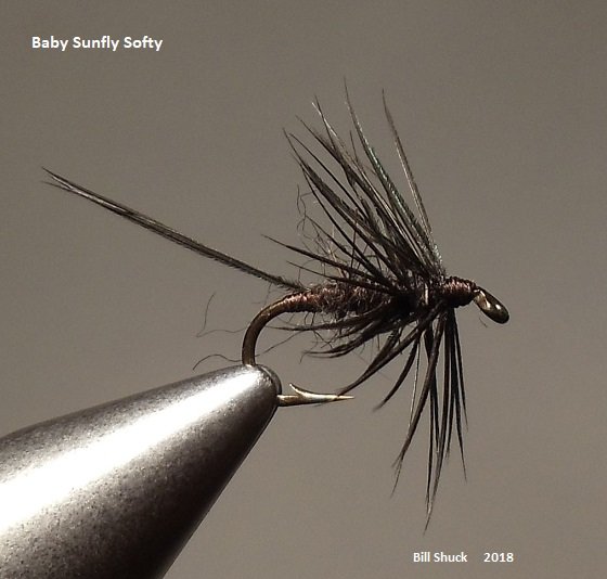 Baby Sunfly Softy.JPG