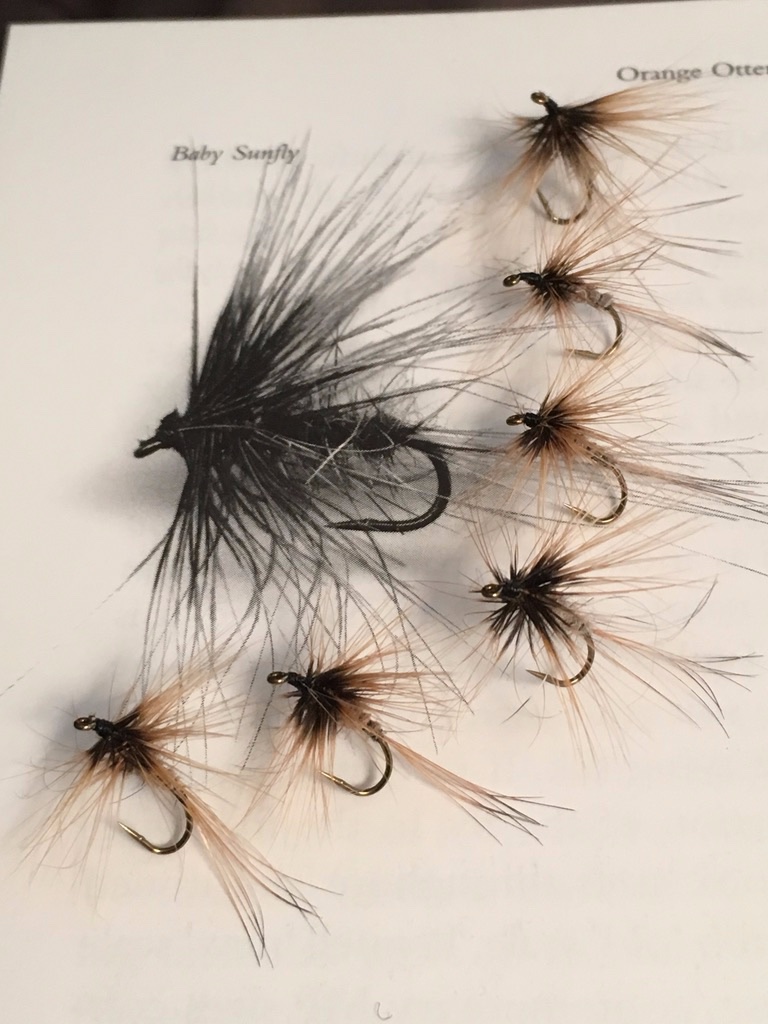 Powells Baby Sunfly & Variations.jpg