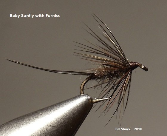 Baby Sunfly with Furniss.JPG