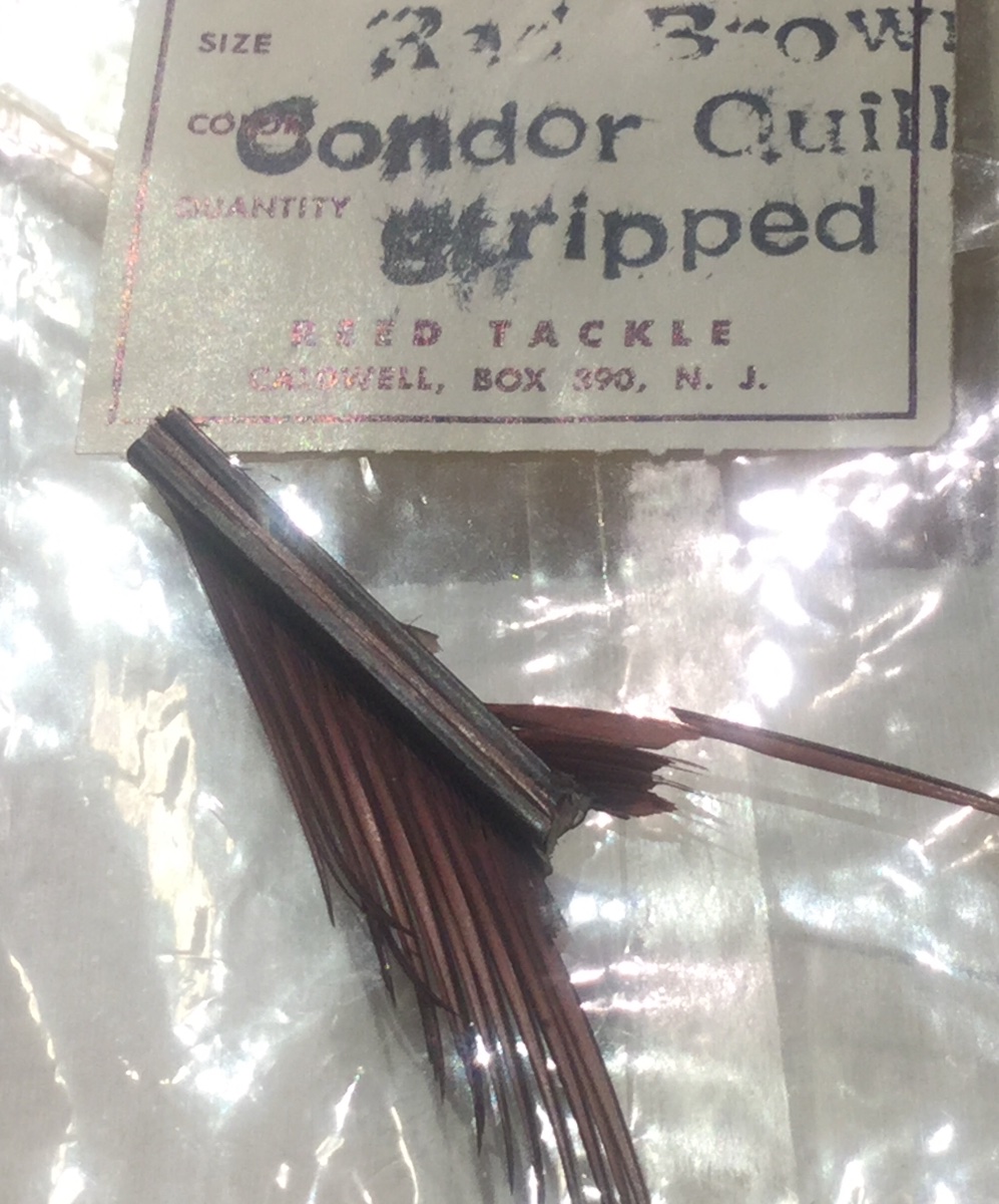 Reed red brown condor