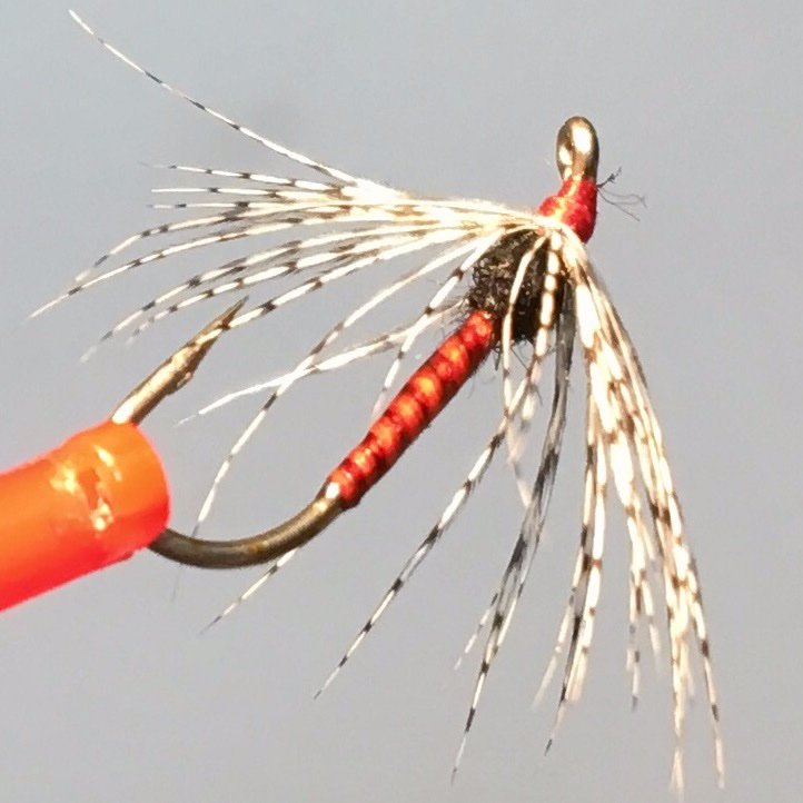 quill body soft hackle.jpg