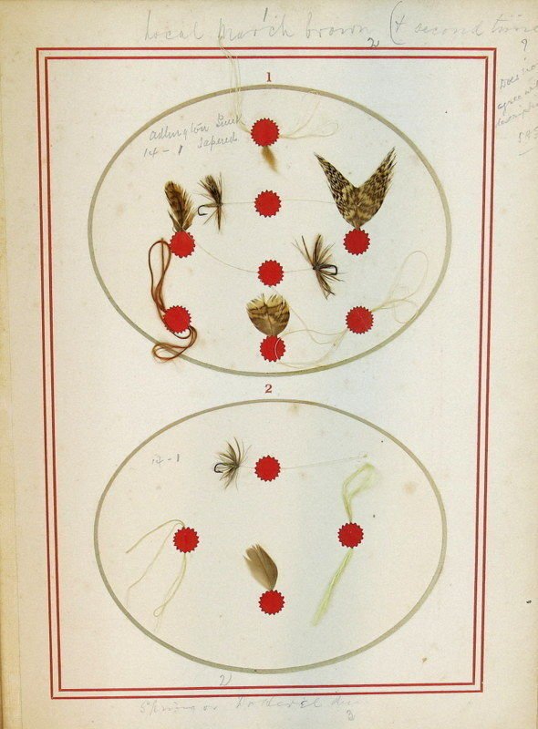 March Browns and &quot;Spring or Dottrill Dun.&quot;  The flies and materials are in almost pristine condition despite being 143 years old.  I've seen 4 other copies over the years and in this copy the flies are about the best I've seen.