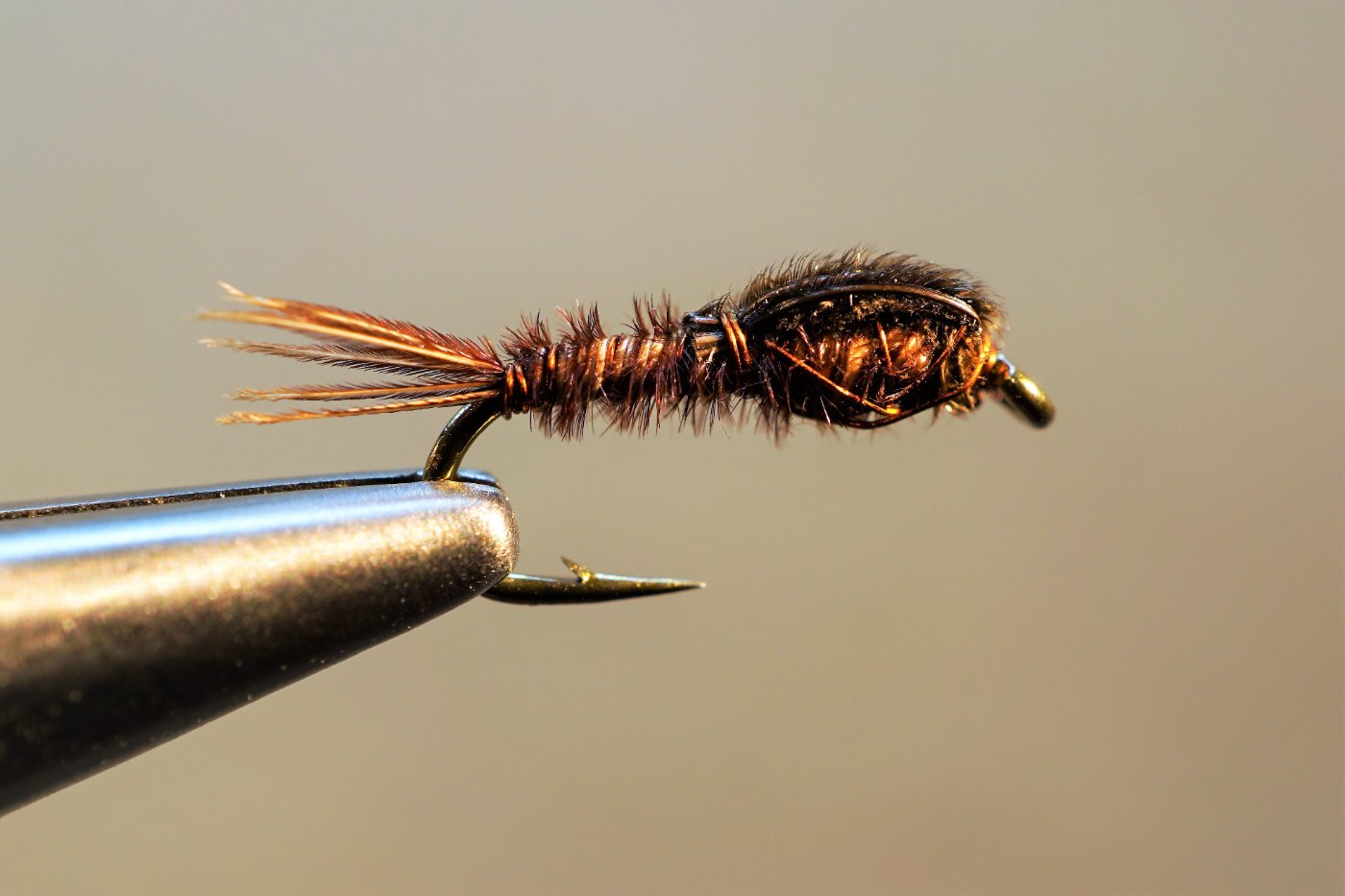 Pheasant Tail Nymph.jpg