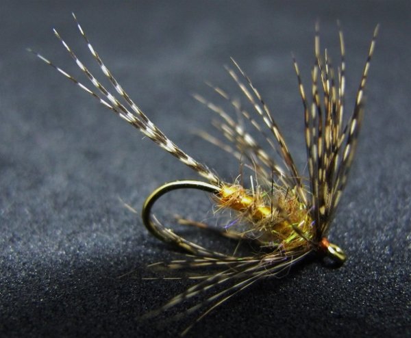 march brown~trout 013 (600x494).jpg