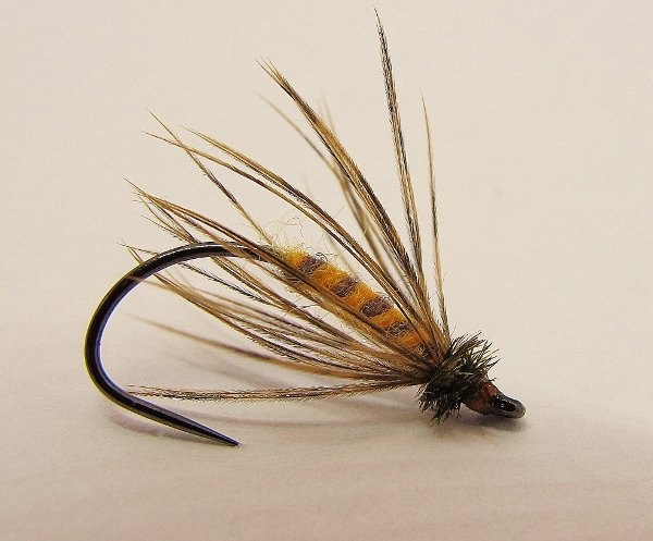 Deer Fly 008 (600x497).jpg