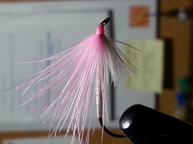 Long shanked "Pinkies" for the ladies!