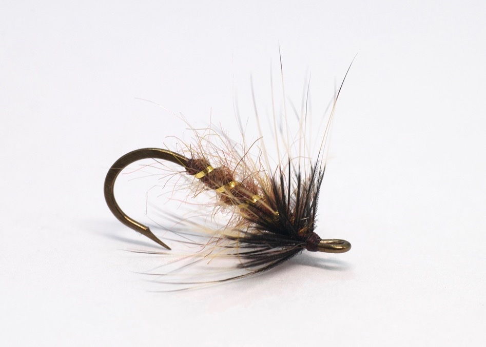 Brown Hackle Origins74reduced.jpg