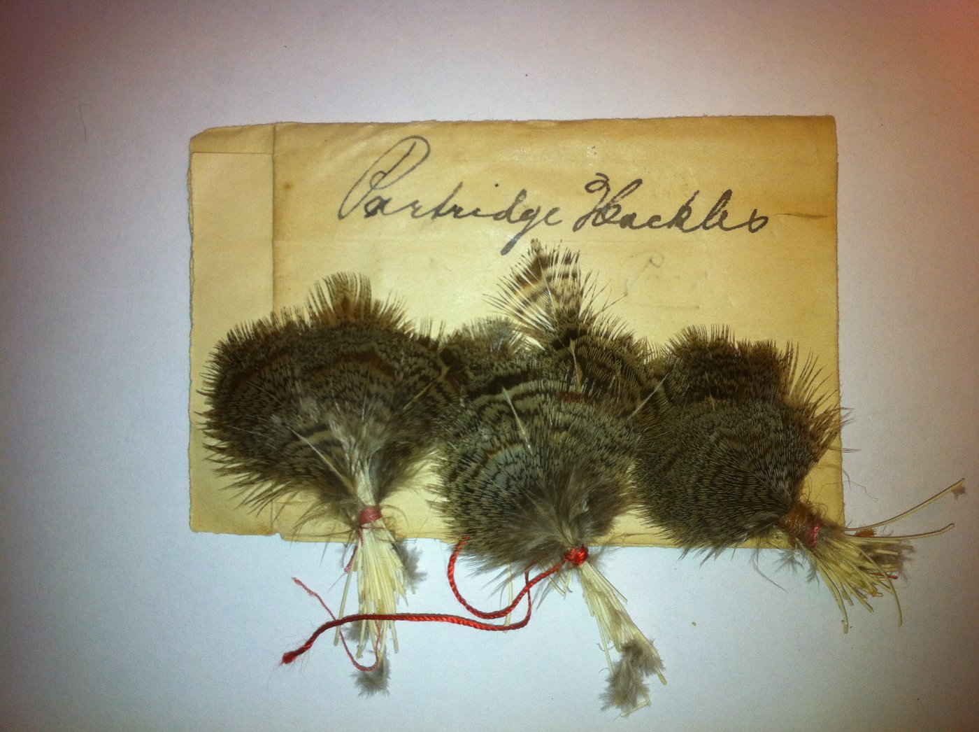 Partridge Hackles.jpg