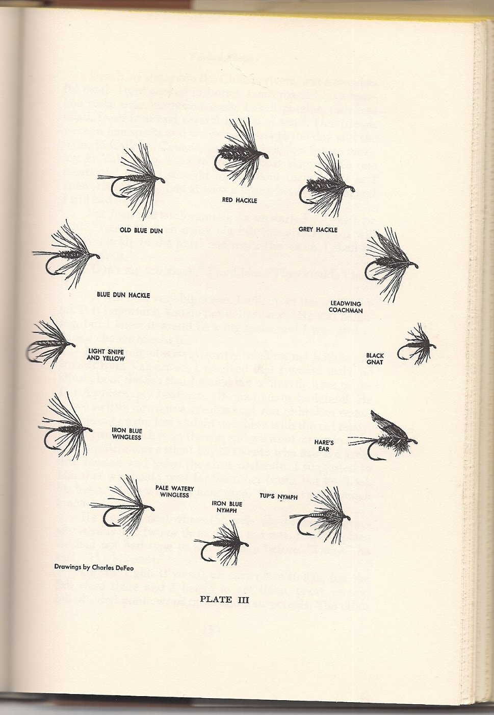 DeFeo Plate0001.jpg