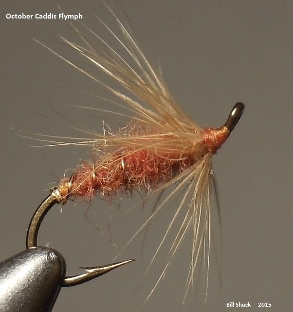 October Caddis Flymph - Swap.jpg