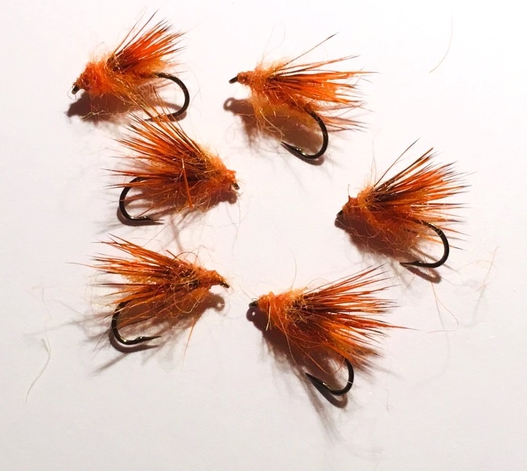 October Caddis.jpg