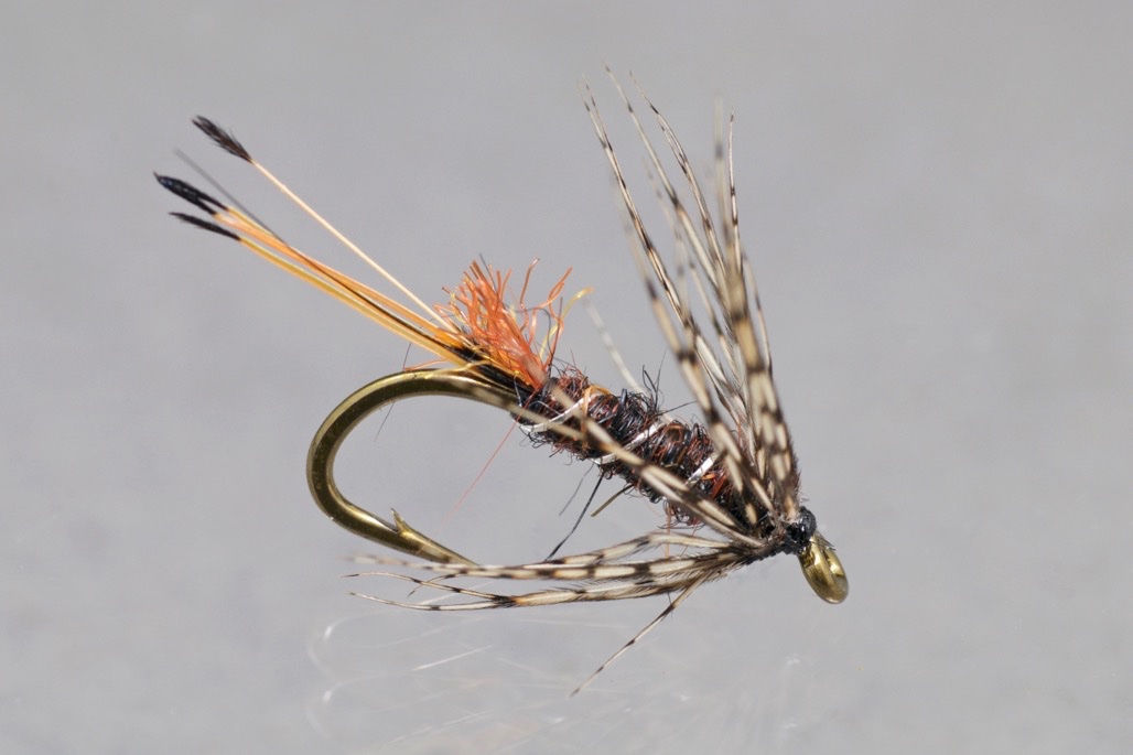 reduxTimpanoga Nymph.jpg