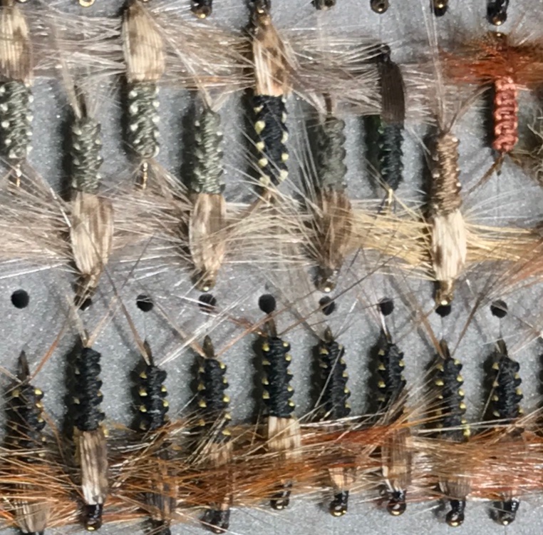 Ivans woven stonefly