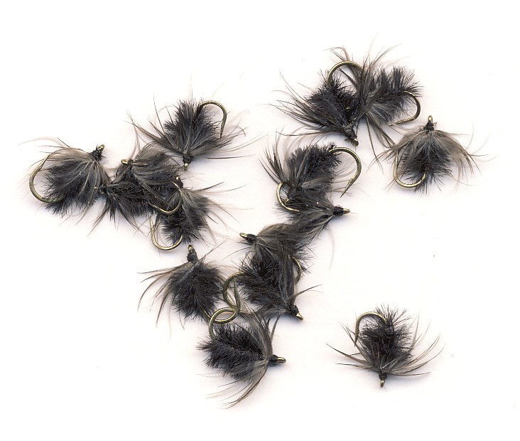 Turton's Black Gnat Soft Hackles.jpg