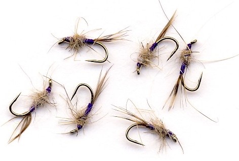 Snipe & Purple Nymphs.jpg