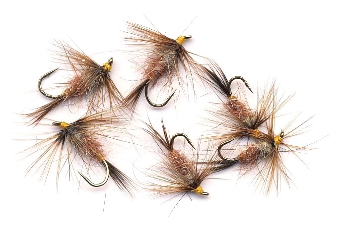 Fiery March Brown SH Nymphs.jpg