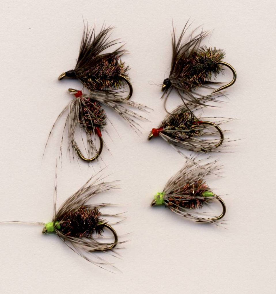Peacock Bodied Soft Hackles.png