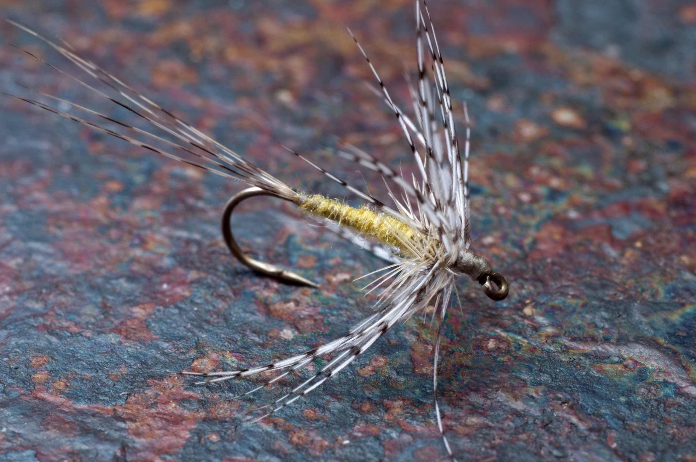 Criss' Soft Hackle Dry.jpg