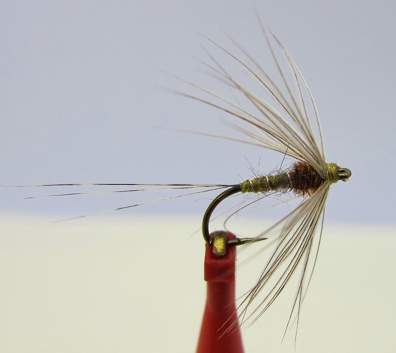 bwo flymph 003 (800x714).jpg