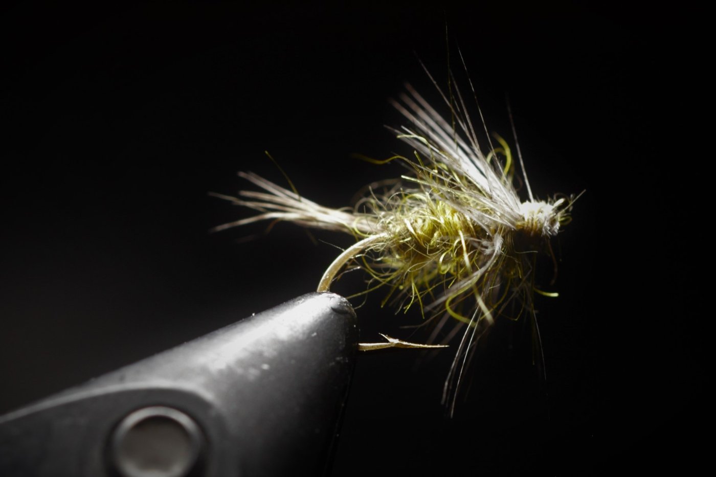 BWO Flymph First Attempt Ick.jpg