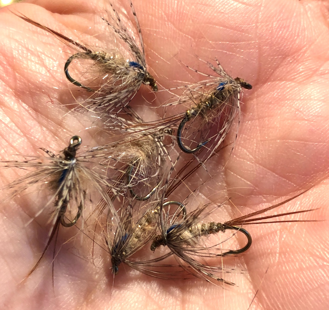 Light Hares Ear Plus & Partridge - 01.JPG