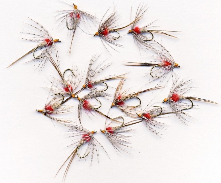 Hatching Dun March Brown Soft Hackle.jpg