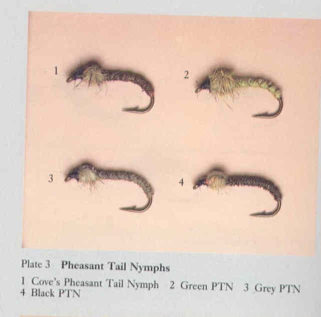 Arthur Cove's Pheasant Tails.jpg