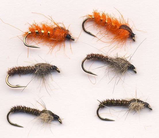 Cove's Nymphs.jpg