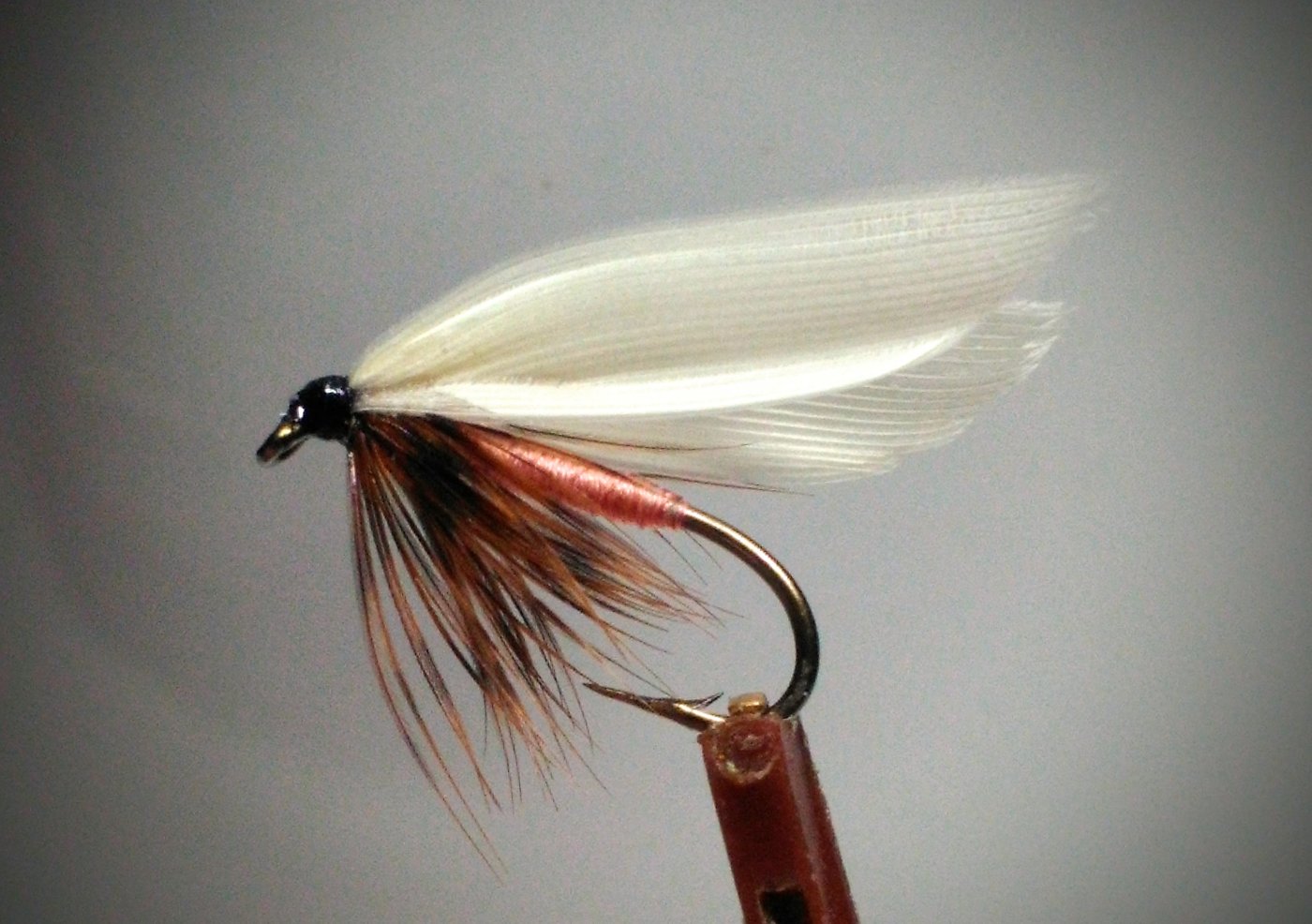 P_20211209_143959~2.jpg